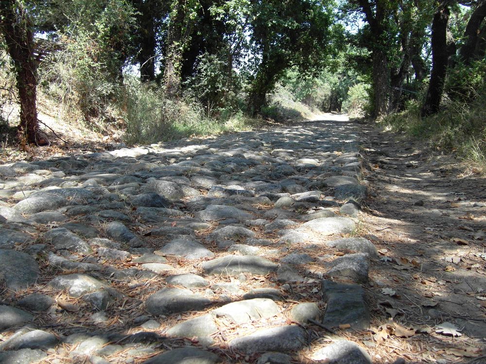 091 - Voie romaine au Sud d-Aleria.JPG